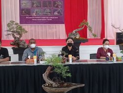 Gandeng Dekranasda NTT, Koboi Kupang Gelar Pameran 1.000 Bonsai