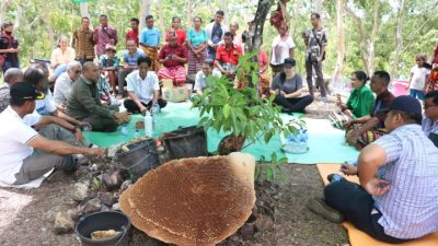 Gubernur Viktor Usul Ritual Panen Madu di Fatuleu Didesain Jadi Festival